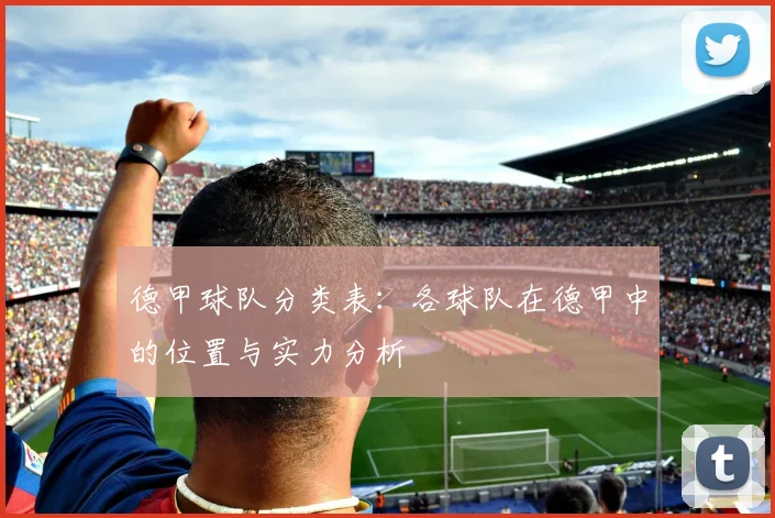 德甲球队分类表：各球队在德甲中的位置与实力分析