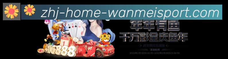 未来规划