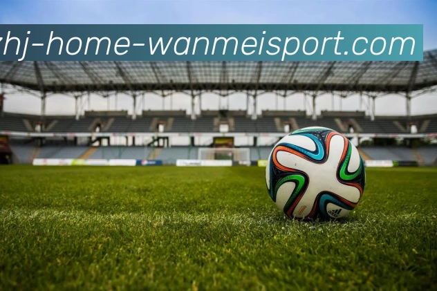 完美体育全站App